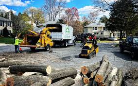 Why Choose Our Tree Removal Services in Sturgeon Bay, WI?